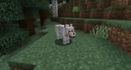 The game's original wolves have a cool new name (Image via Mojang Studios)